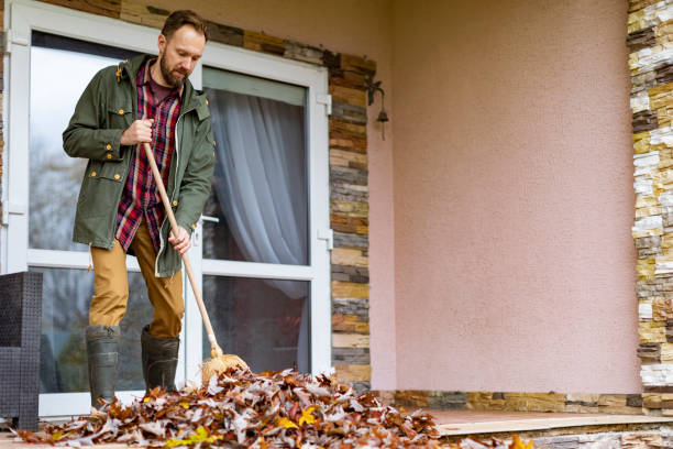 Best Basement Cleanout Services  in Kingston, PA
